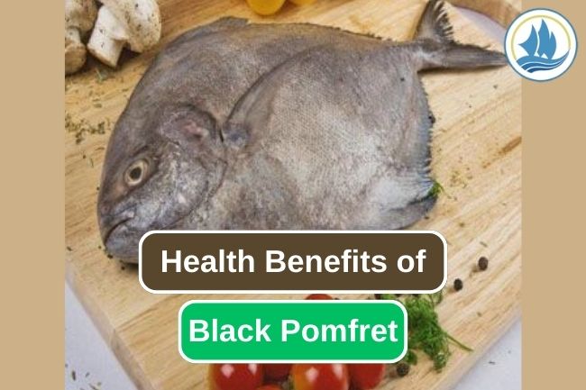 The 7 Best Benefits of Eating Black Pomfret
